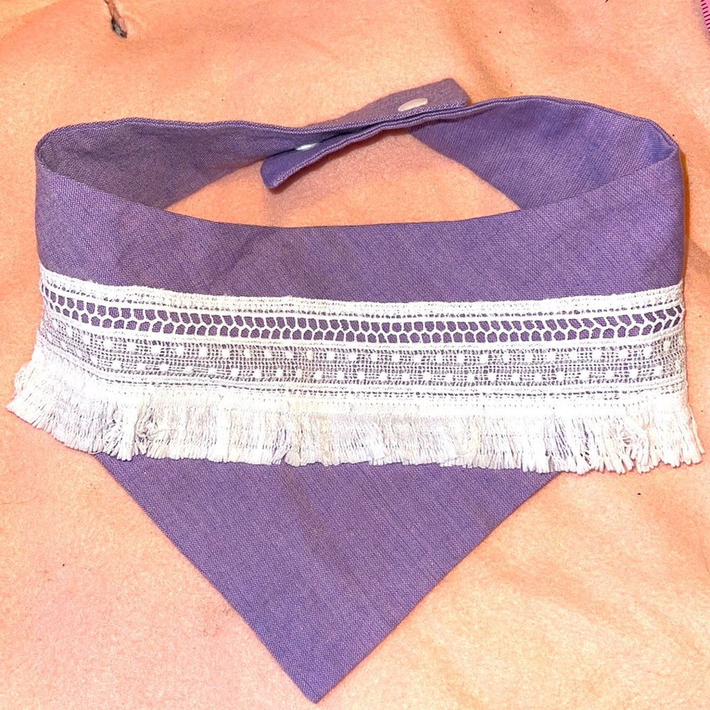 Dog fashion bandana